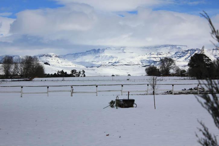 Karmichael Farm Pensionat Himeville Exteriör bild