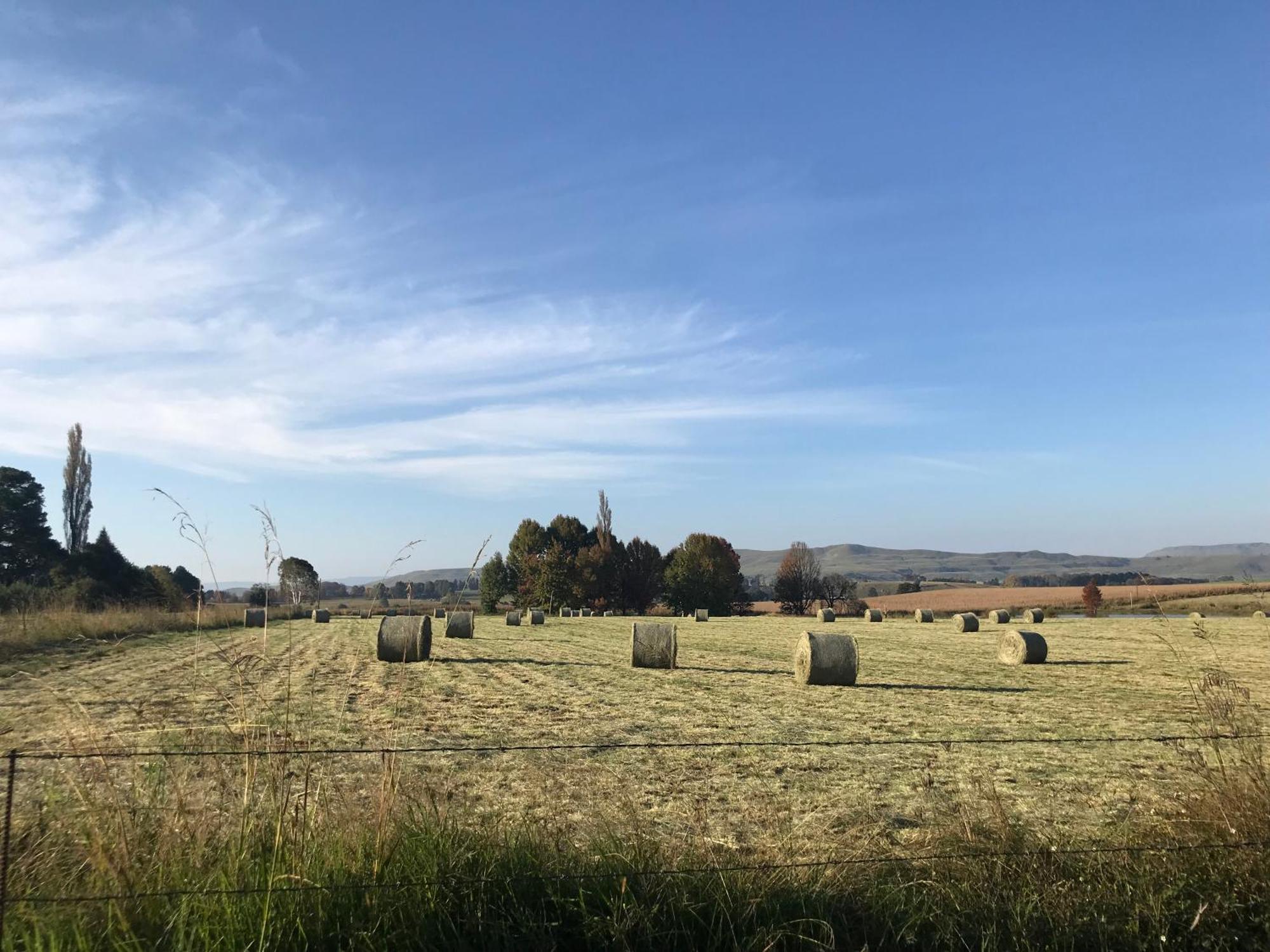 Karmichael Farm Pensionat Himeville Exteriör bild